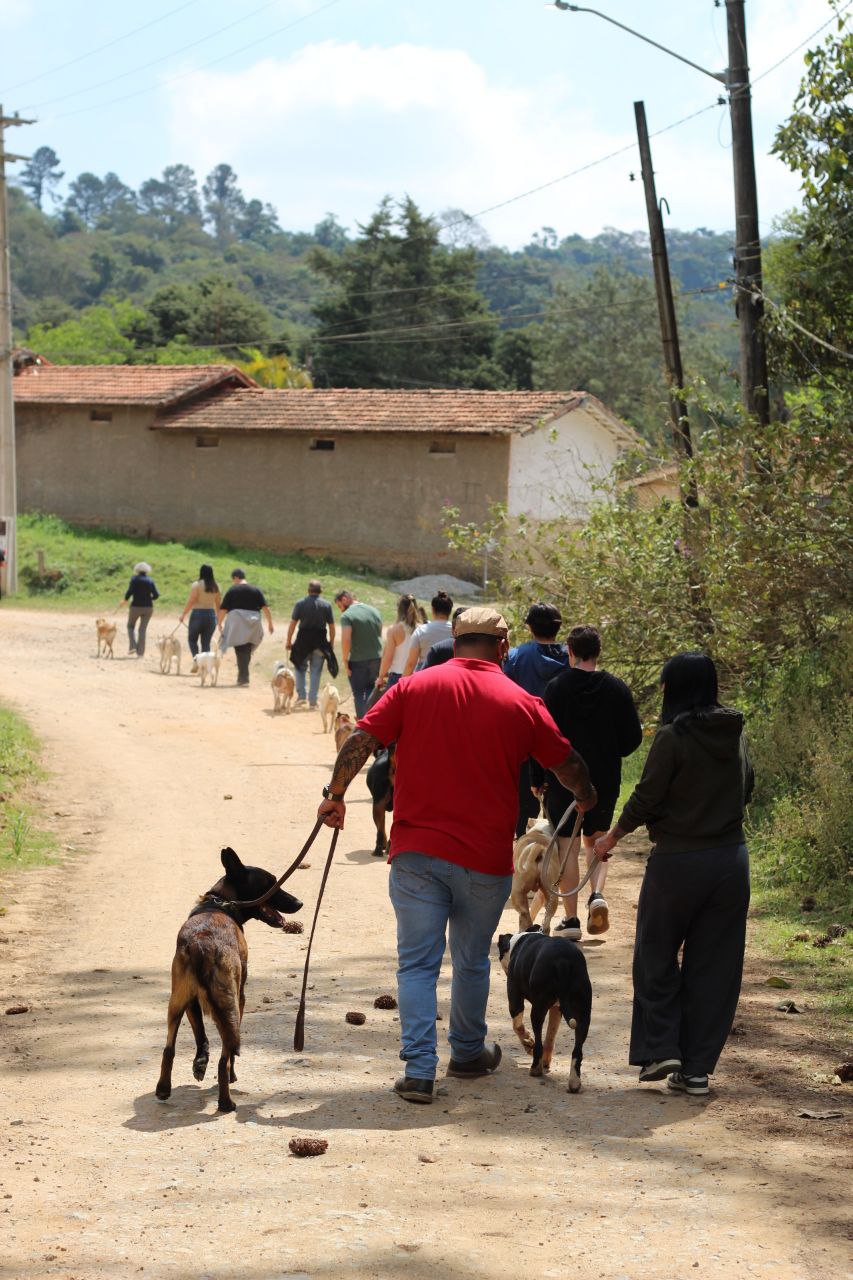 Caminhada de matilha com clientes pela estrada de terra