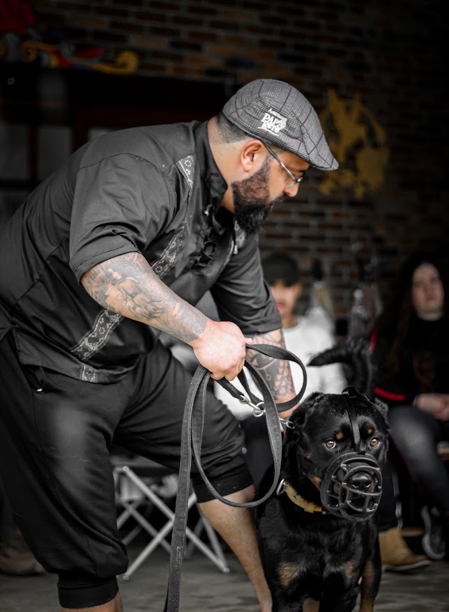 Manejo de rottweiler com focinheira