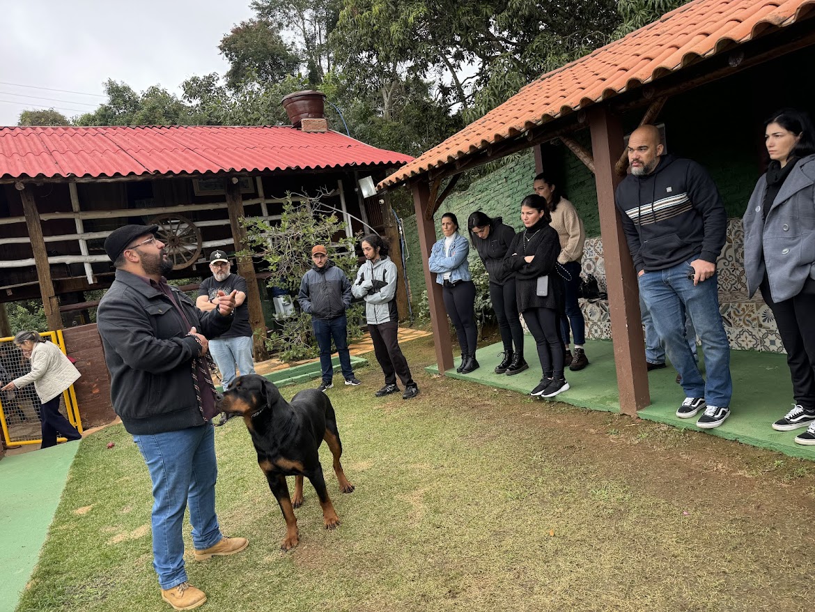 Aula prática com rottweiler em frente aos alunos