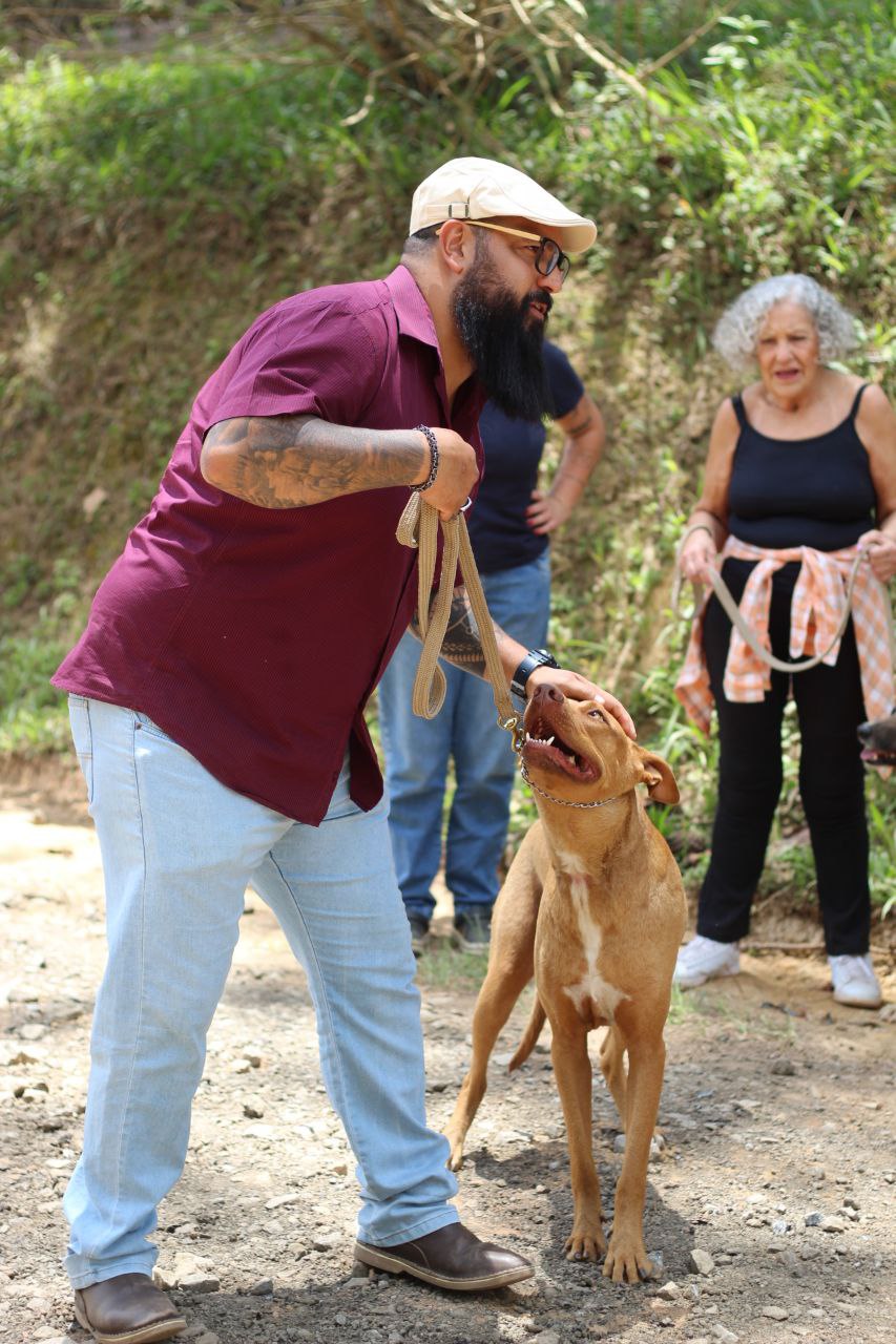 David reabilitando cão reativo em sessão de campo
