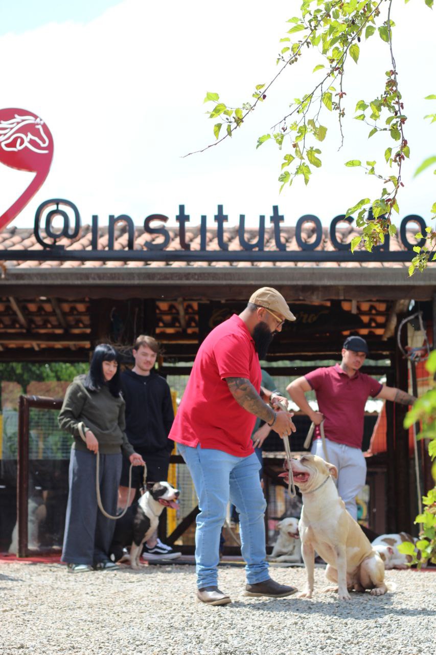 David em atendimento prático no Instituto Cão de Ouro com alunos e cães