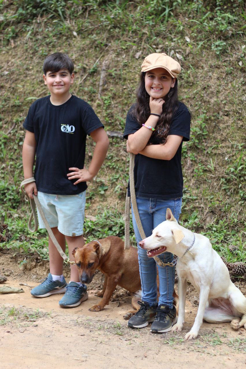 Crianças conduzindo seus próprios cães no adestramento familiar