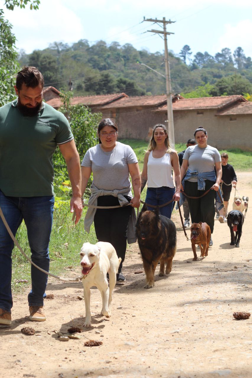 Cliente conduzindo cão branco em caminhada de matilha