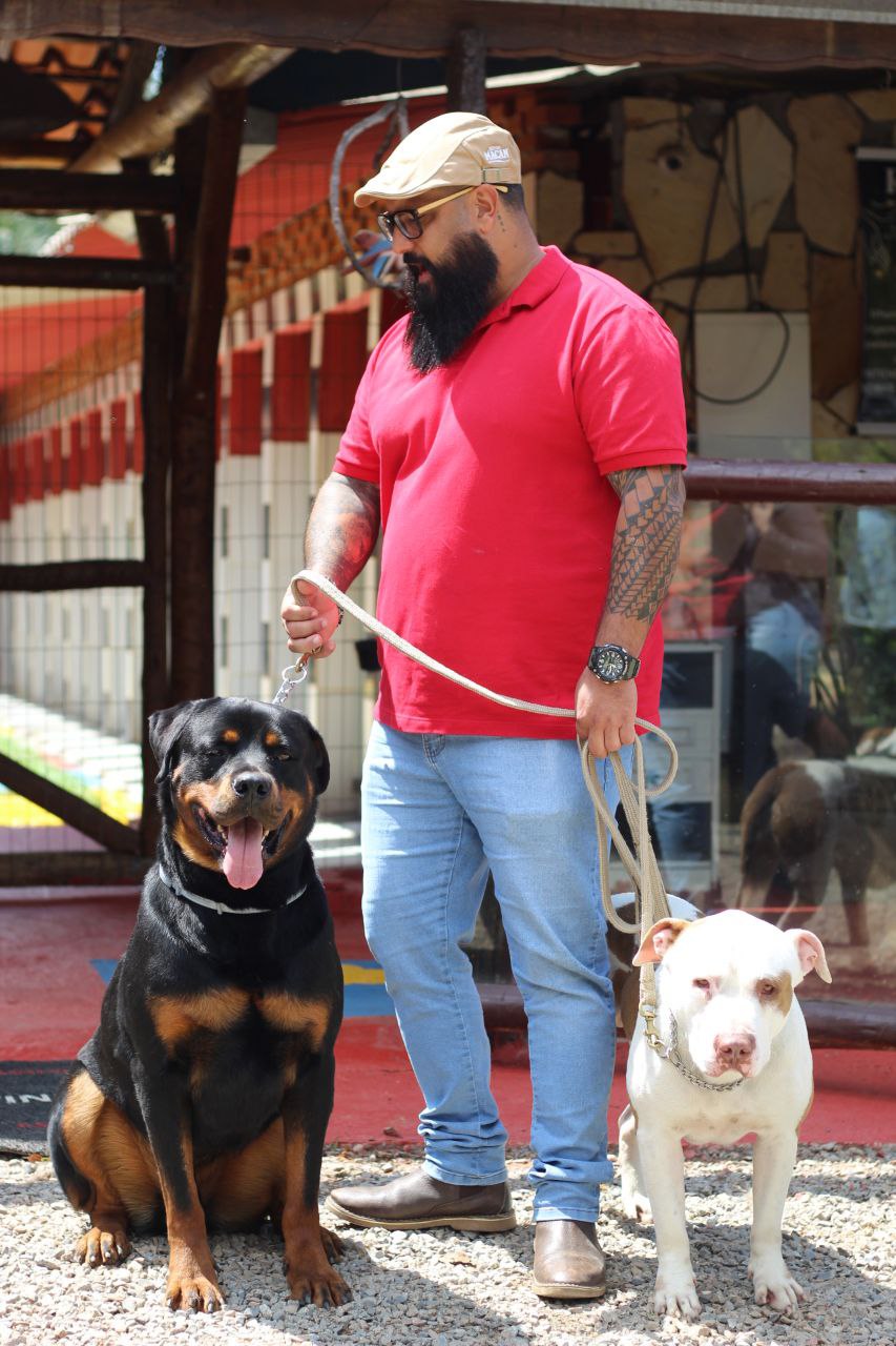 Mestre David conduzindo rottweiler e american bully em sessão de equilíbrio