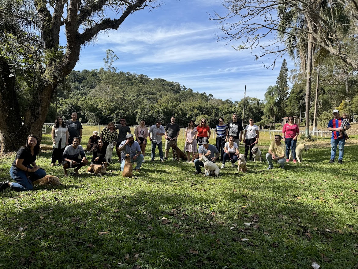 Turma reunida com seus cães no campo