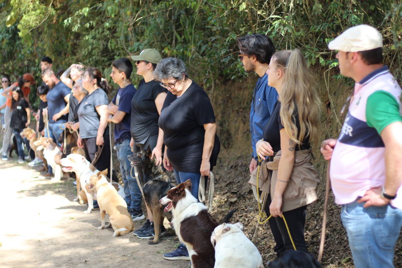 Matilha em fila com tutores em trilha