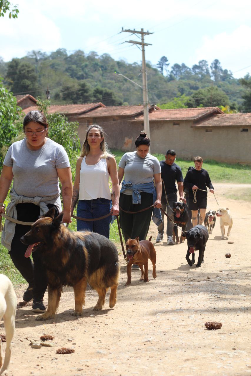Grupo de clientes conduzindo cães lado a lado