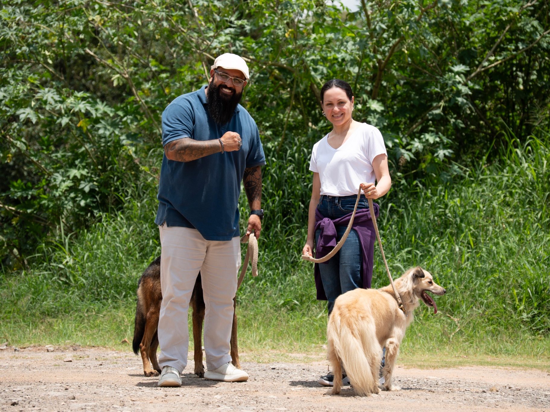 Trabalho em dupla com cães durante atendimento